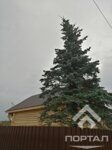 IMG_20190724_165352